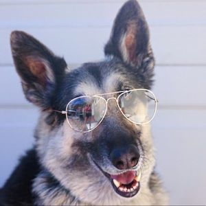 Meet your Posher, Haley